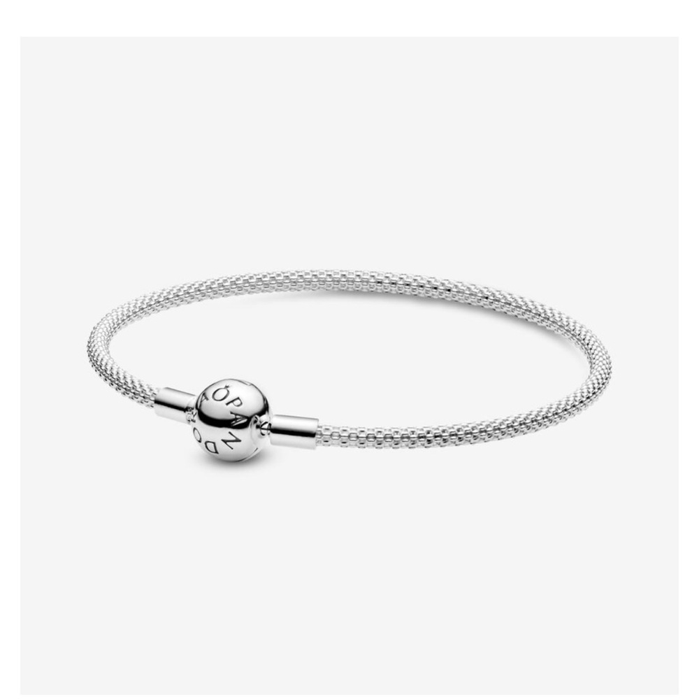 NWT Pandora Moments Mesh Bracelet